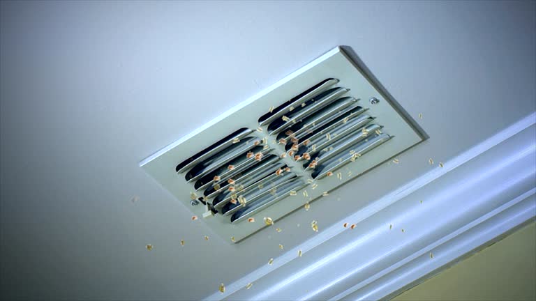 Best Residential Air Duct Cleaning  in Arlington, NE