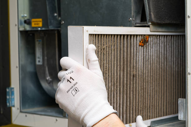 Best Professional Duct Cleaning Services  in Arlington, NE