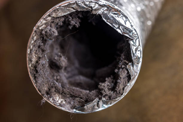 Best Affordable HVAC Duct Cleaning  in Arlington, NE