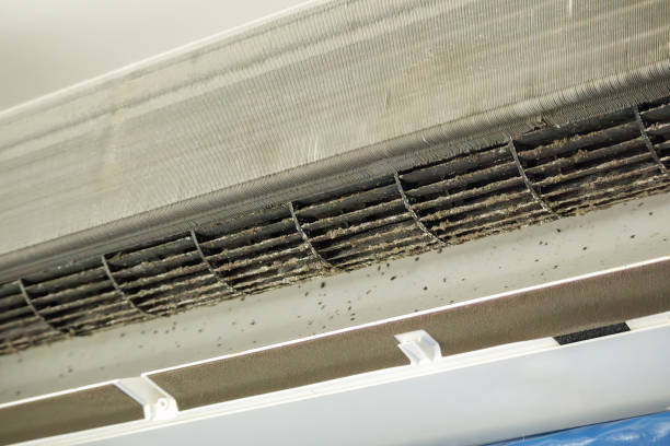 Best Affordable Duct Cleaning Services  in Arlington, NE